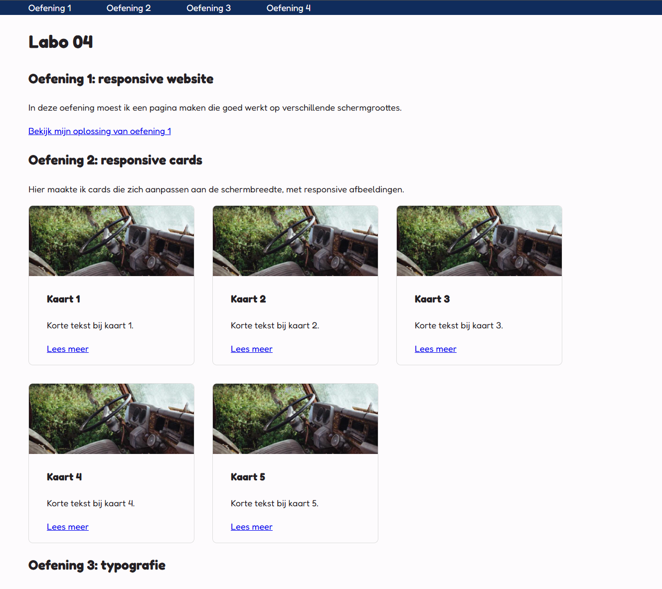 Screenshot interface van de website
